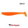 isca shad heckmann sashimi 90 120 cor 01