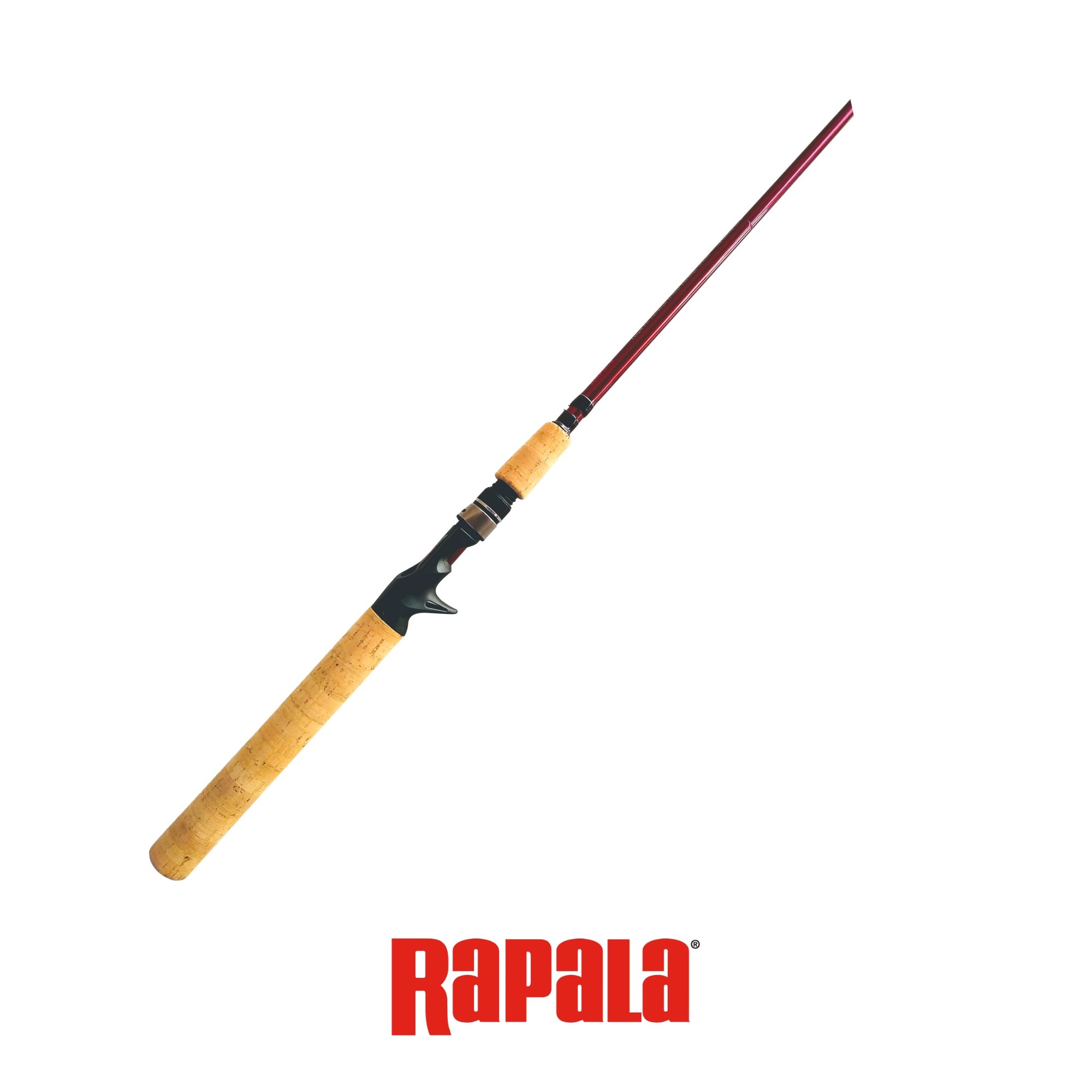 Vara Rapala Bronze ZX | 5'8 (1,73m) - 17lb para Carretilha