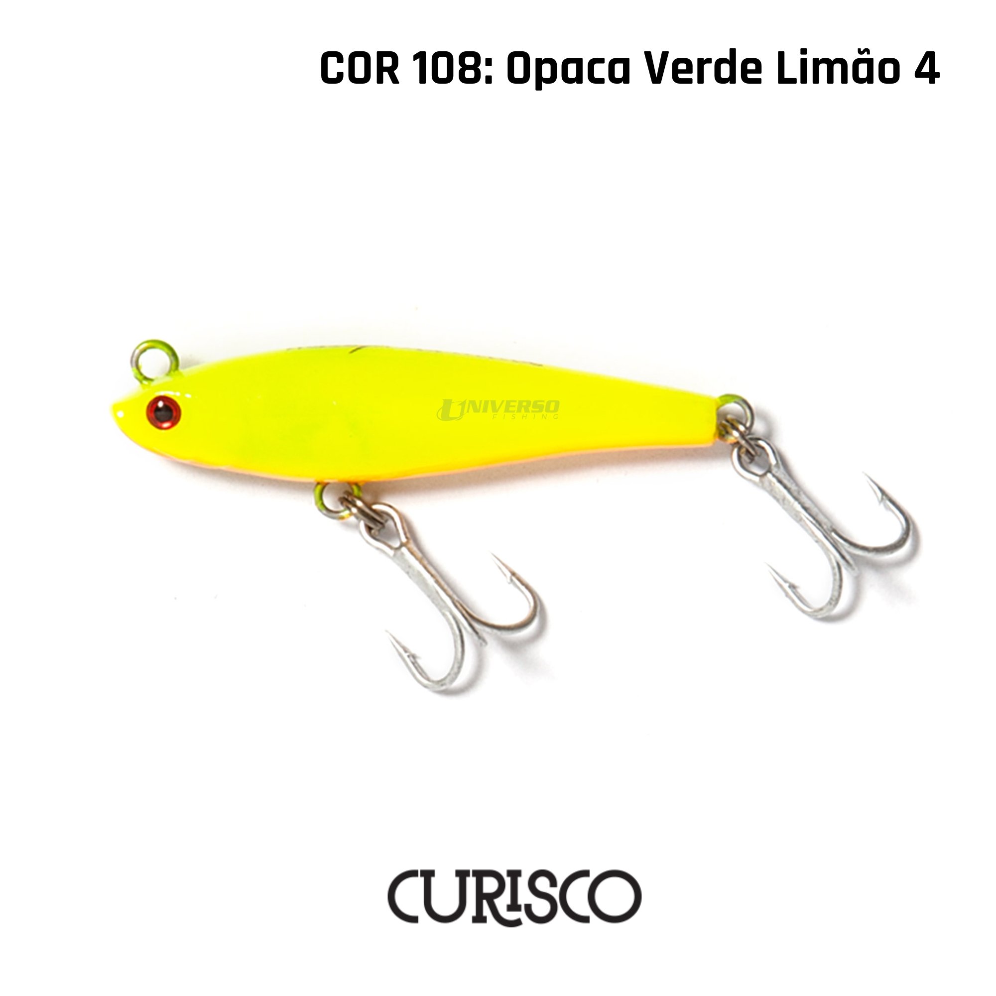 yasuo noto　パキポーズ　グラキリス yasuo noto パキポーズ グラキリス yasuo noto パキポーズ グラキリス