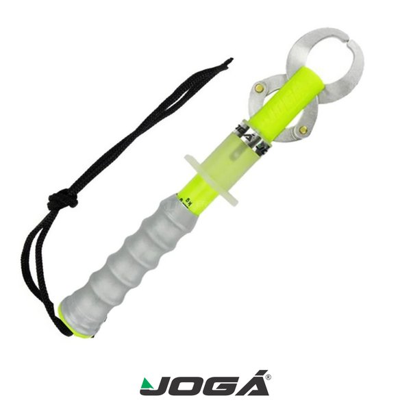 balanca pega peixe joga pinca 1