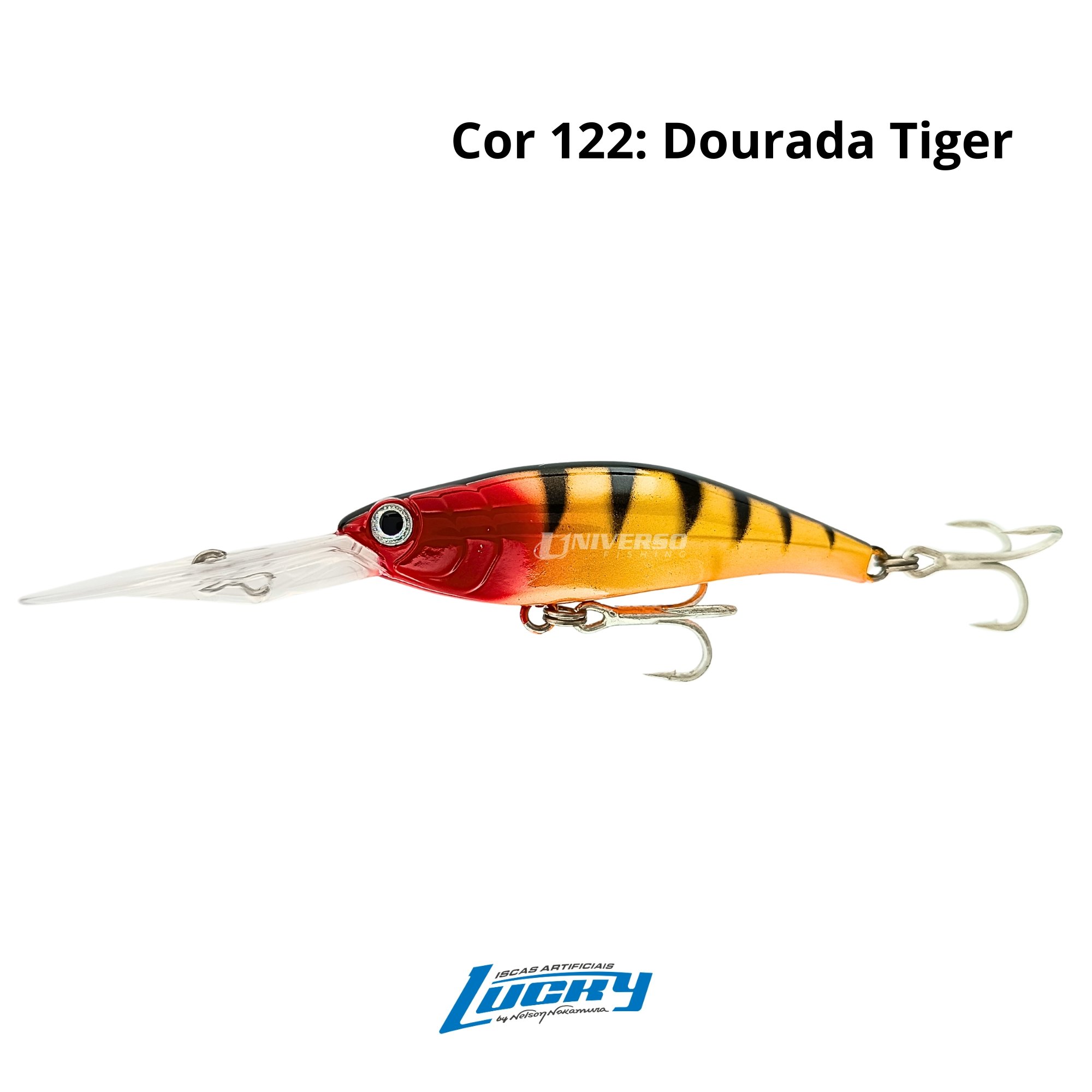 Isca Lucky by Nelson Nakamura Drop 75 | 7,5cm - 13g
