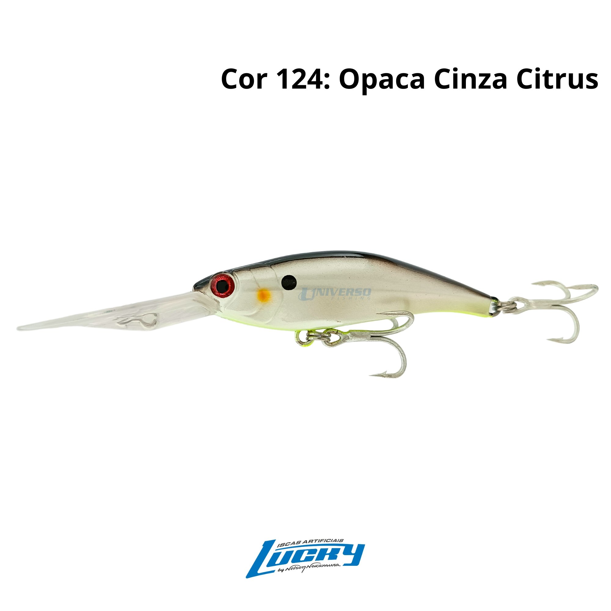 Isca Lucky by Nelson Nakamura Drop 75 | 7,5cm - 13g