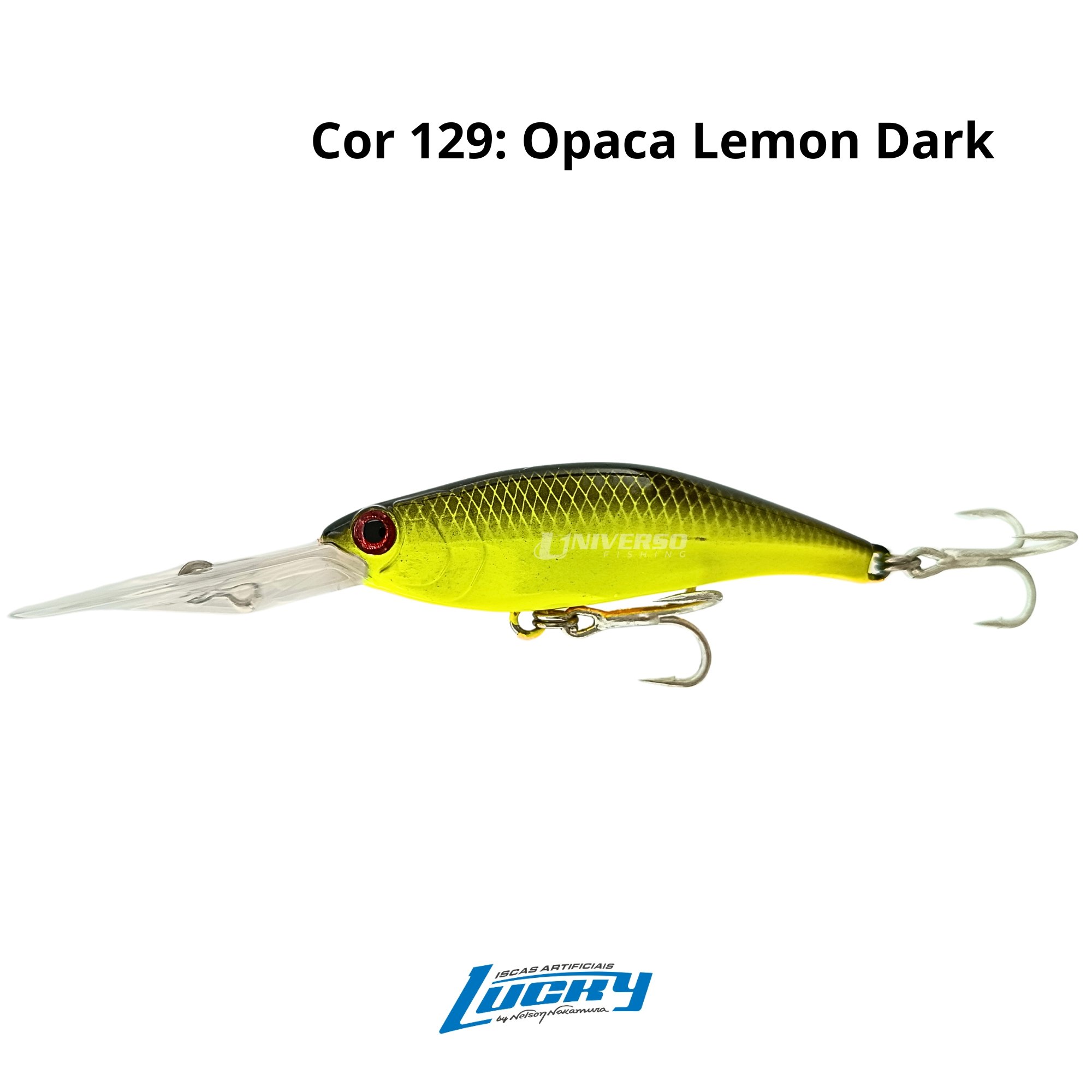 Isca Lucky by Nelson Nakamura Drop 75 | 7,5cm - 13g