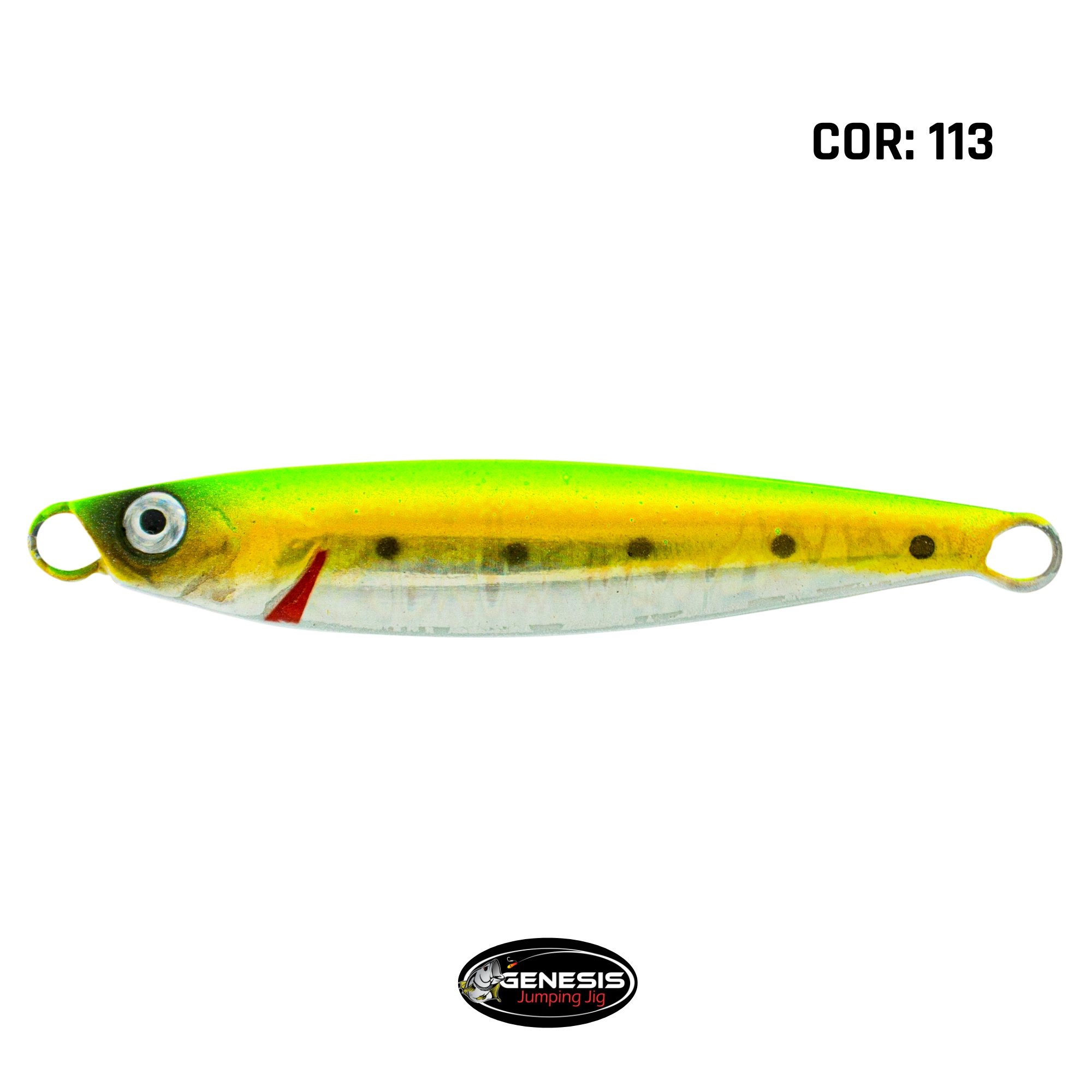 シゲ兄iGUCA イグカ+お米10キロ Isca Genesis Micro Jig Trick Holográfico 10g