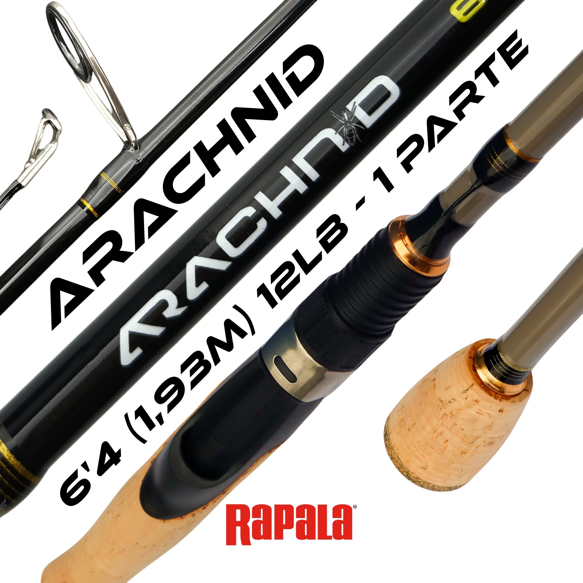 Vara Rapala Arachnid 6'4