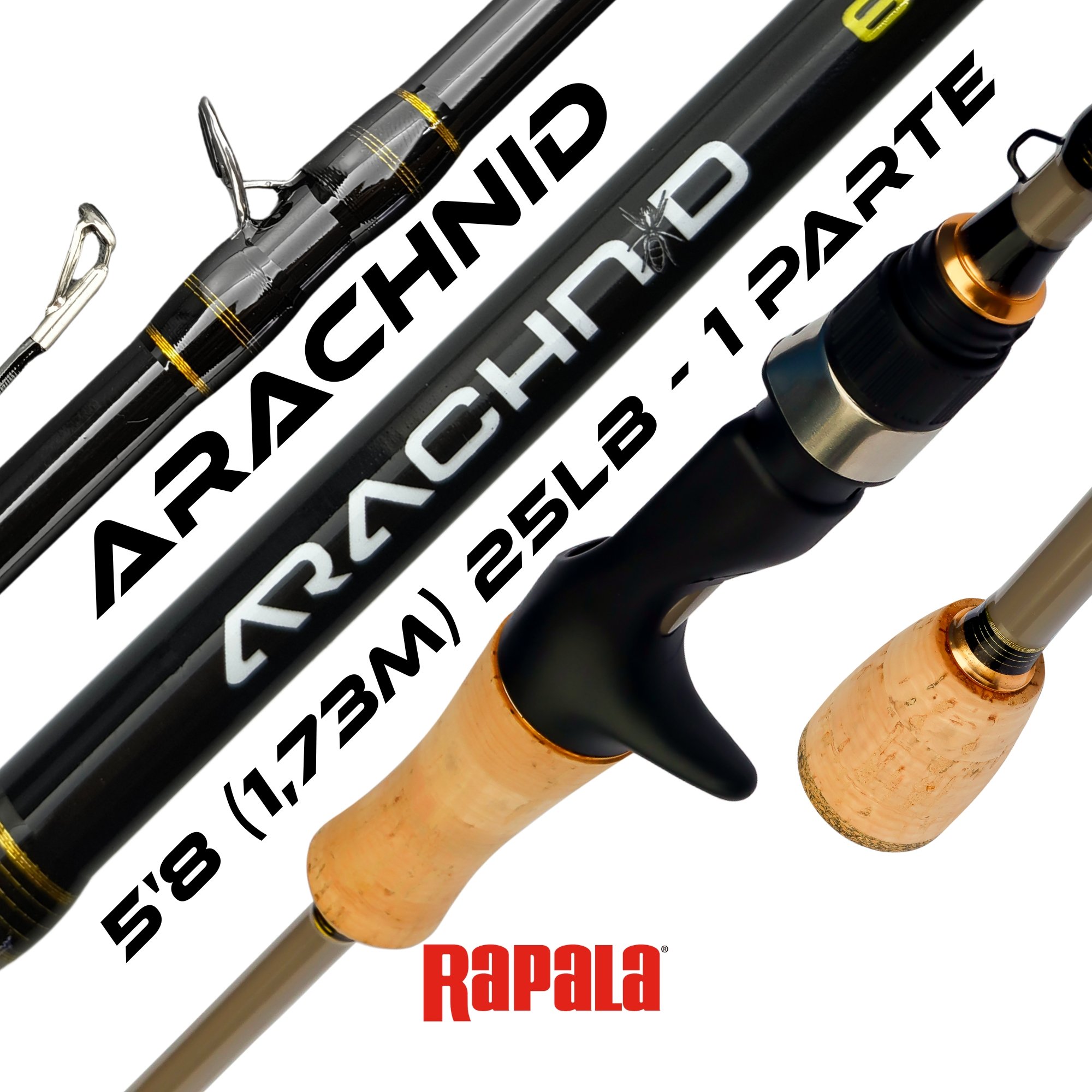 Vara Rapala Bronze ZX | 5'8 (1,73m) - 17lb para Carretilha